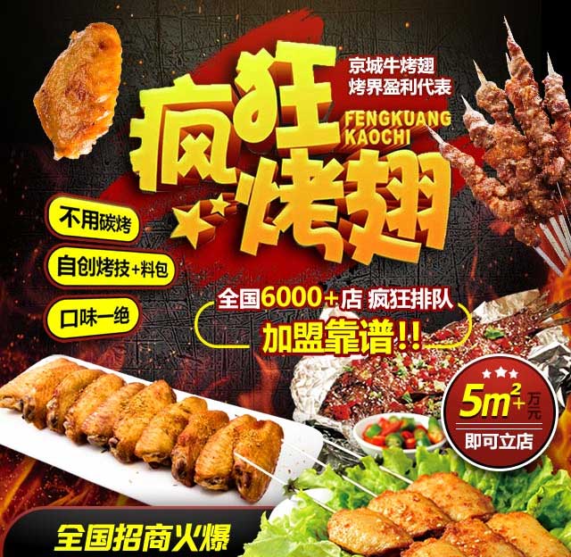 莘县奥尔良烤翅